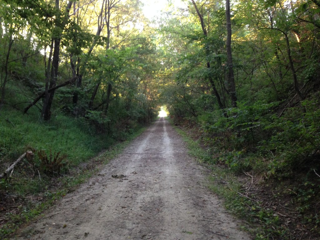 Existing Trails